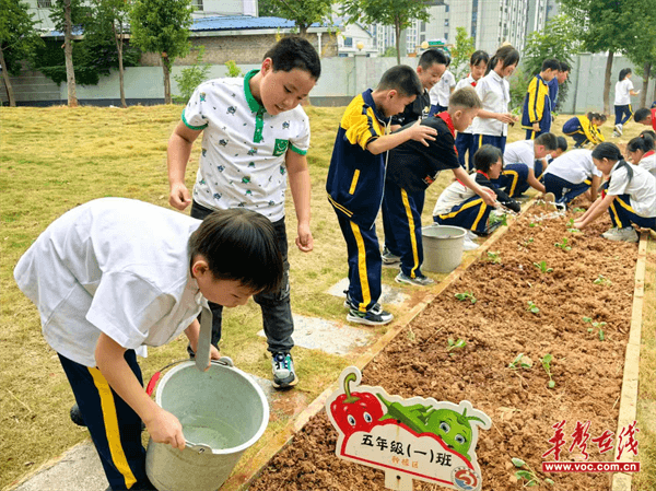 图片 2.png 图片 2.png