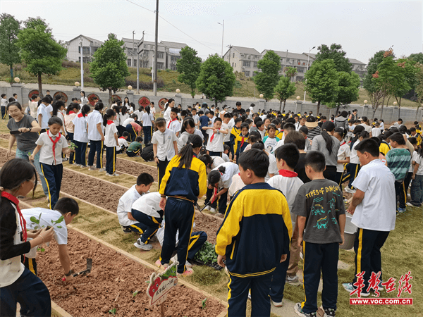 图片 3.png 图片 3.png