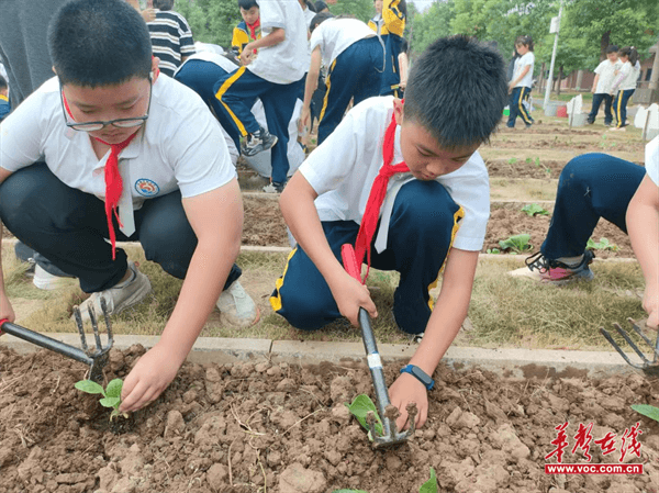 图片 1.png 图片 1.png