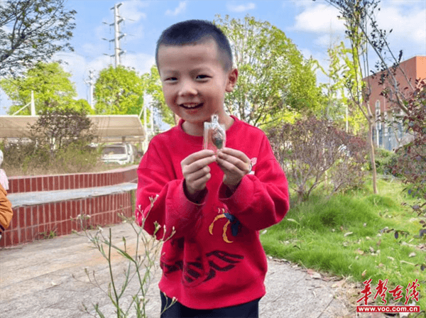 图片 2.png 图片 2.png