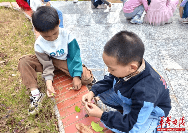 图片 1.png 图片 1.png