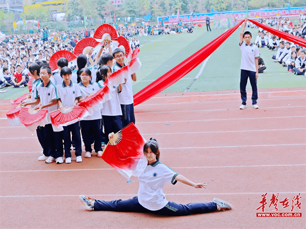 图片 1.png