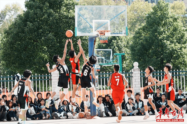 图片 2.png