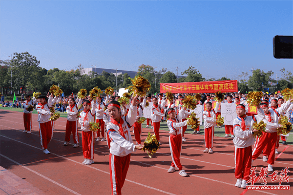 图片 1.png