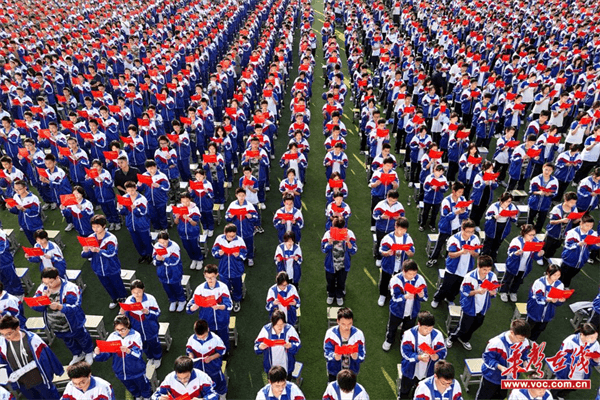 图片 8.png 图片 8.png