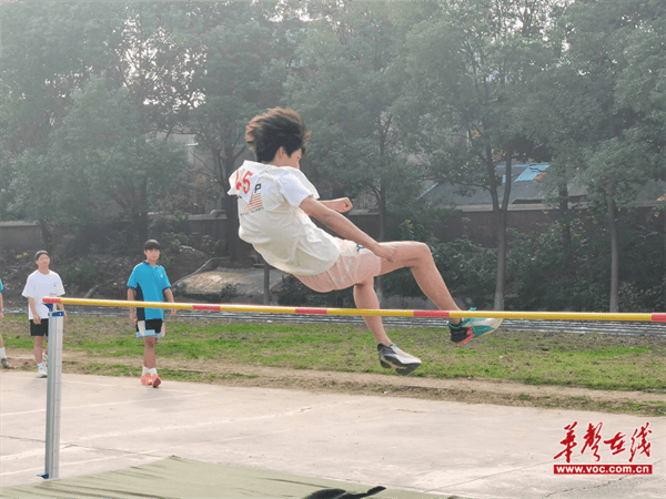 图片 3.png 图片 3.png