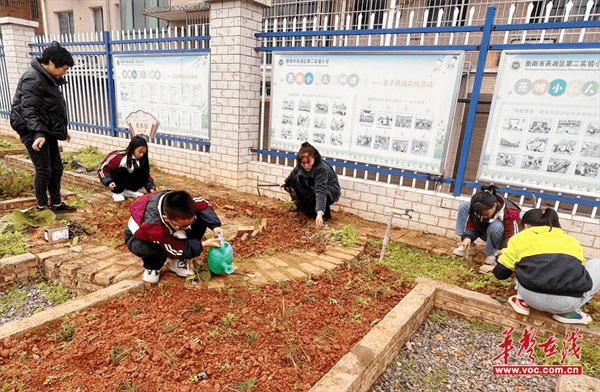 图片 1.png 图片 1.png