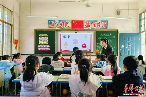 图片 5.png