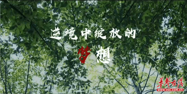 图片 2.png 图片 2.png