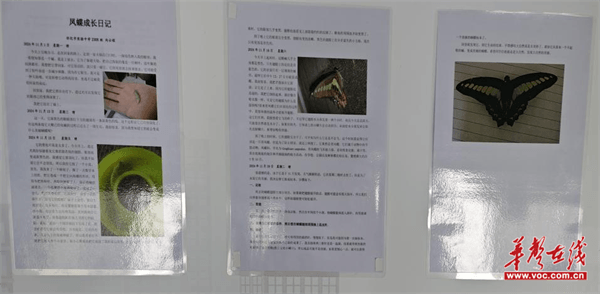 图片 6.png