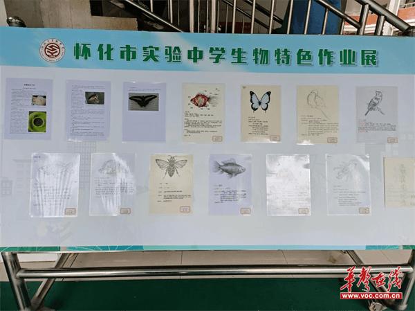图片 3.png