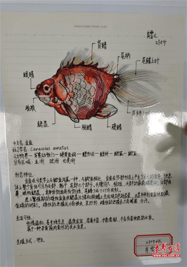 图片 5.png