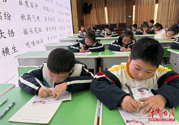 图片 2.png