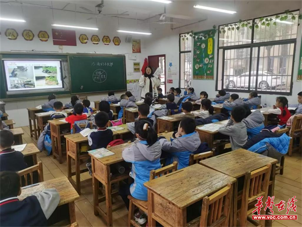 图片 8.png