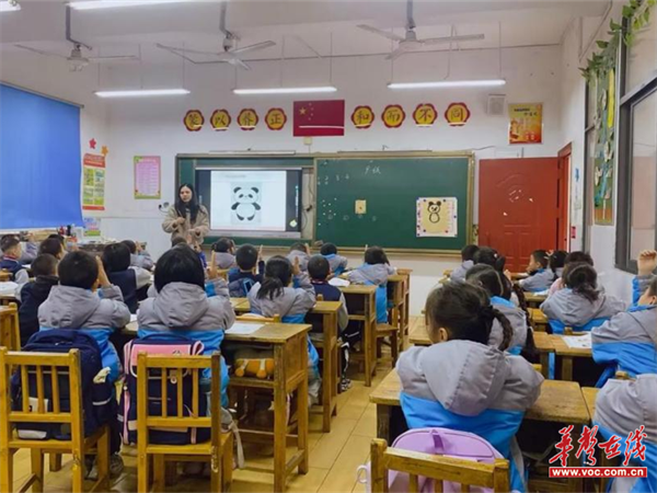 图片 13.png