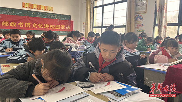 图片 2.png
