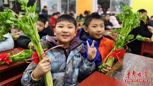 图片 2.png 图片 2.png