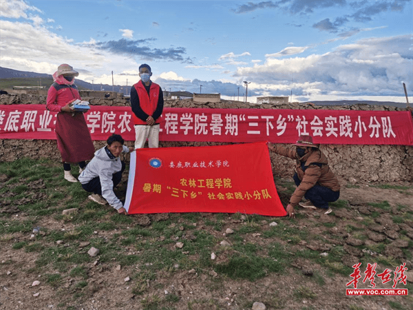 图片 1.png 图片 1.png