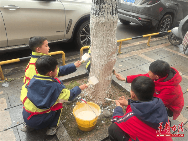 图片 1.png 图片 1.png