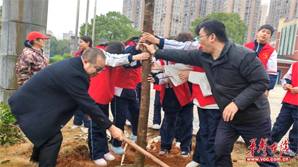 图片 3.png