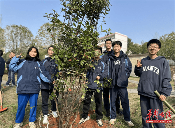 图片 1.png