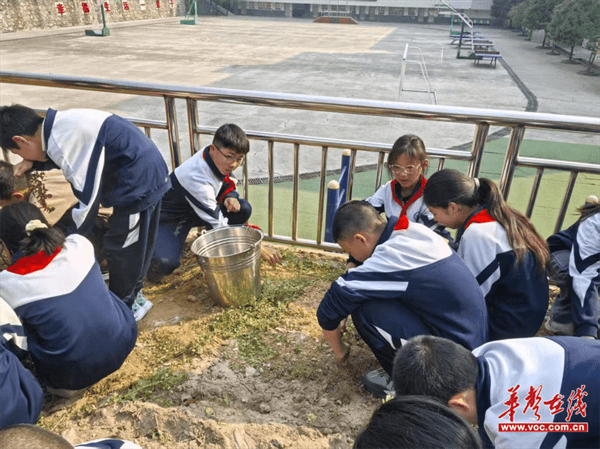 图片 1.png 图片 1.png