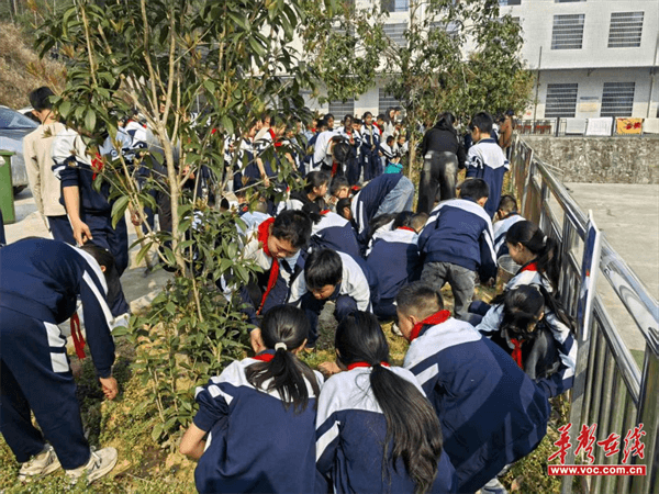 图片 2.png 图片 2.png