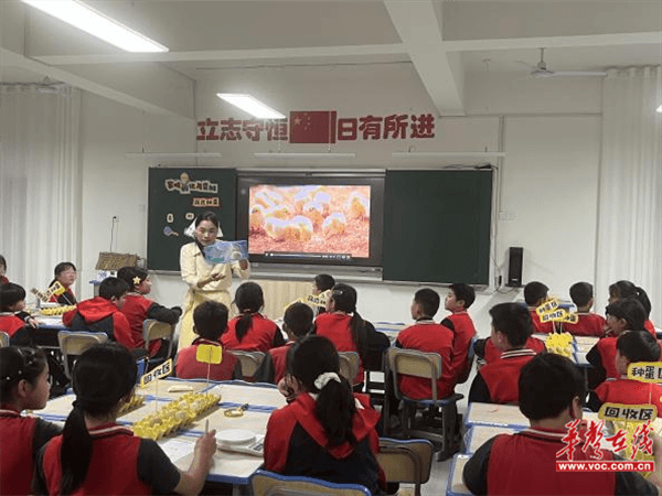 图片 2.png