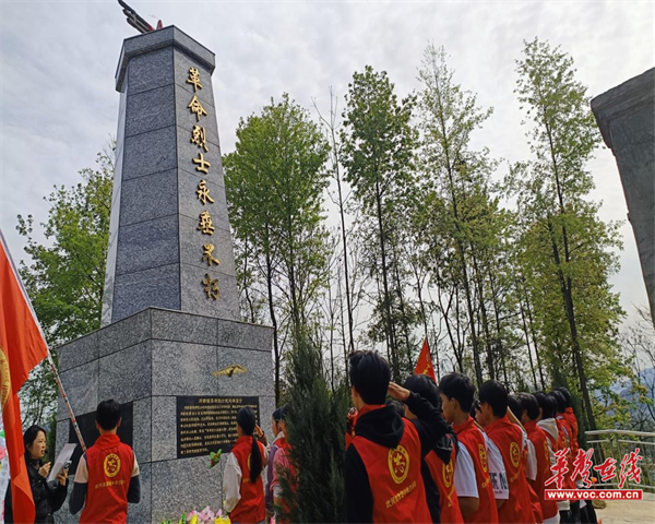 图片 1.png