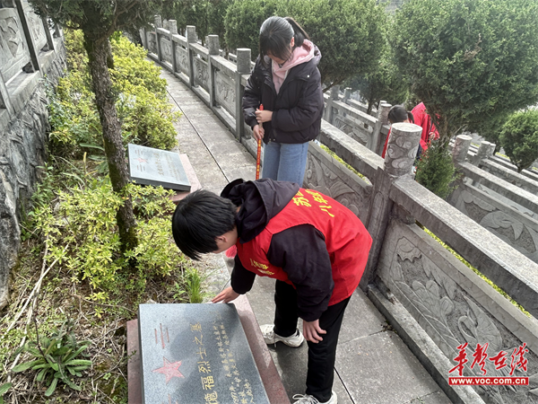 图片 3.png