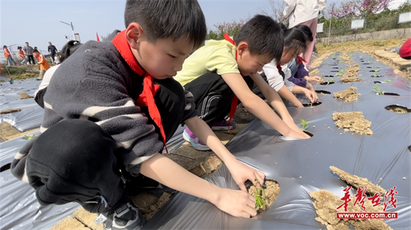 图片 2.png