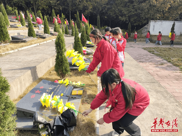 图片 1.png 图片 1.png