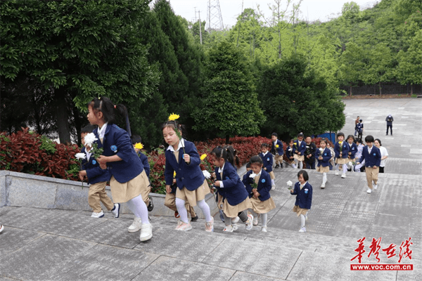 图片 3.png 图片 3.png