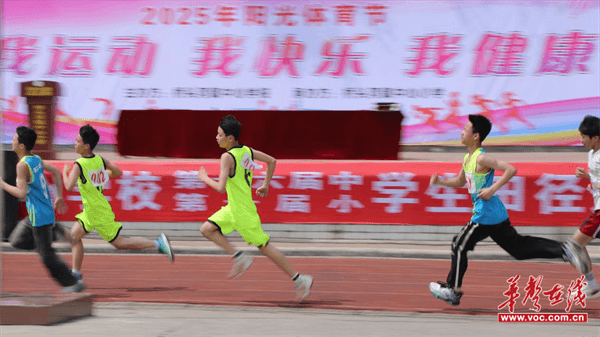 图片 3.png