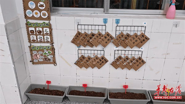 图片 1.png 图片 1.png