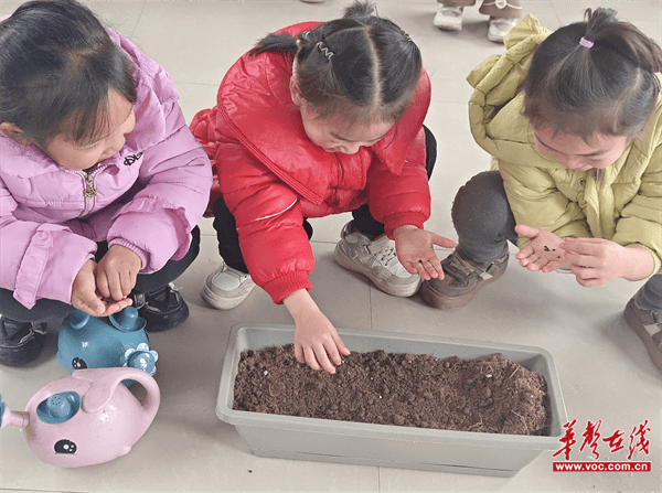 图片 2.png 图片 2.png