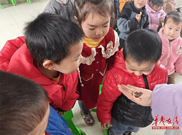 图片 4.png 图片 4.png