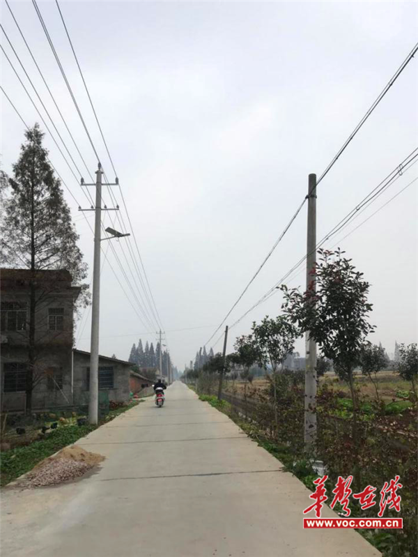 图片14.png