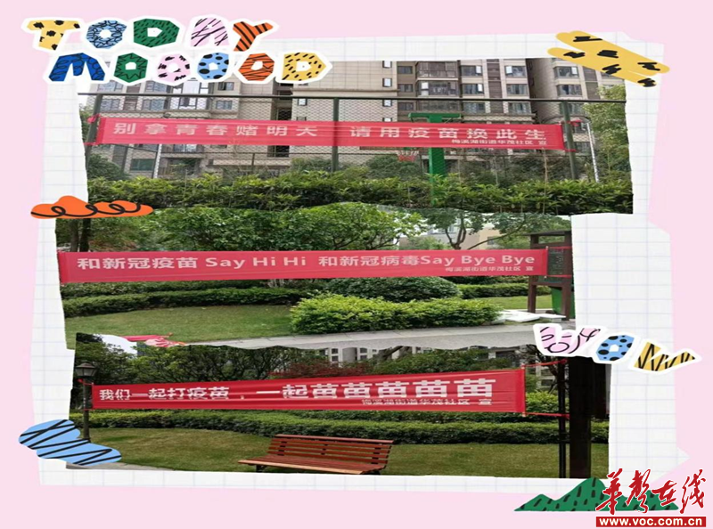 图片15.png
