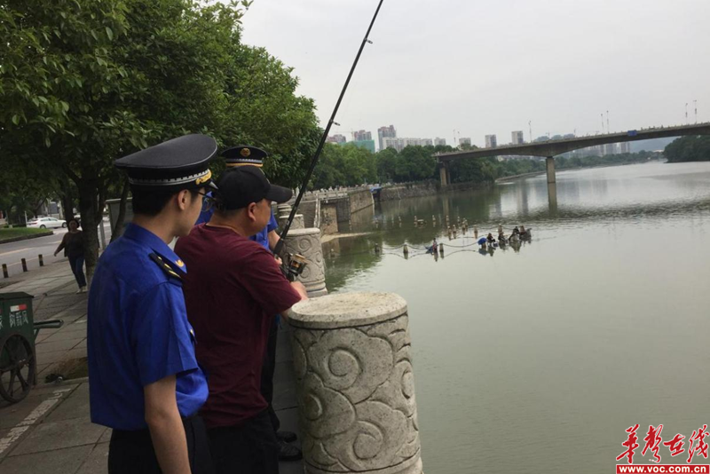图片 1.png
