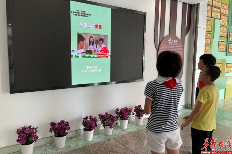 1656386194128344.png 图片 1.png