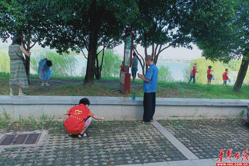 1658455858246079.png 图片 4.png