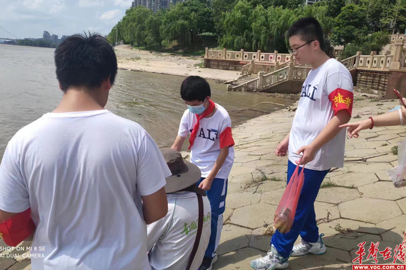 1658828432161838.png 图片 1.png