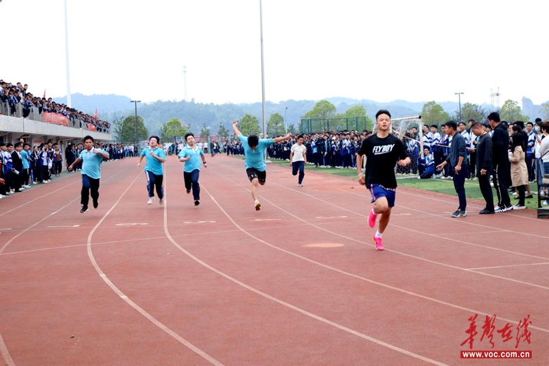 图片12.png