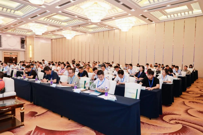 图片23.png