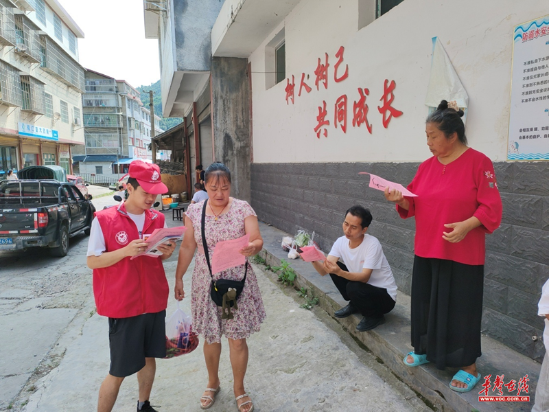 怀化市大树坳乡巧借赶集日开展综治OB体育民调宣传活动(图1)