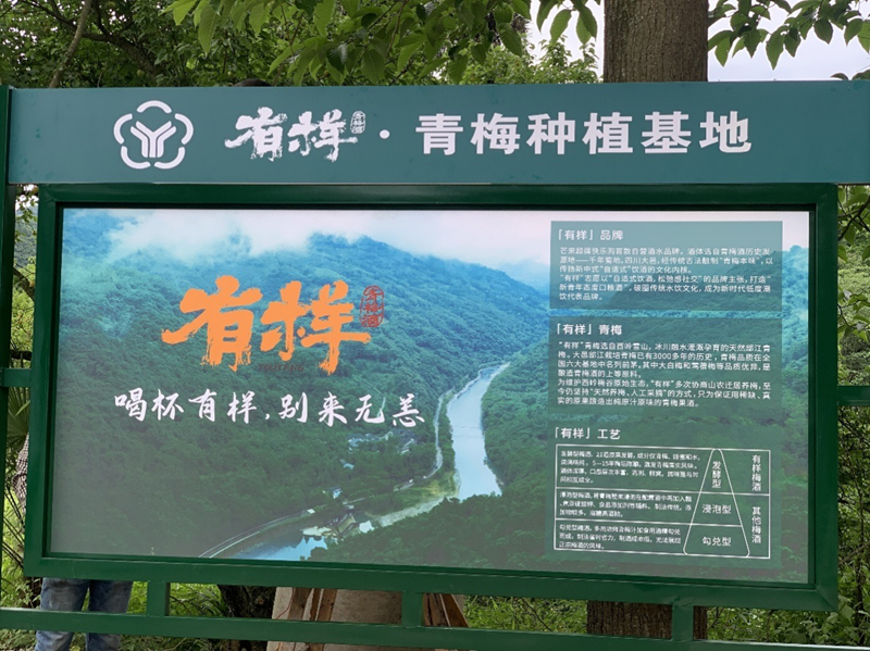 图片20.png