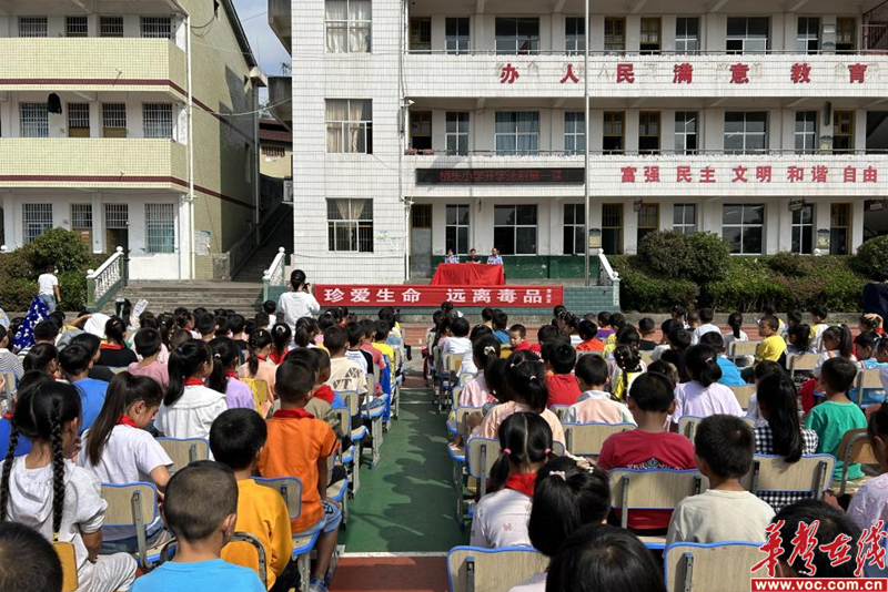 图片 1.png