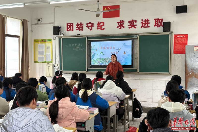 图片14.png