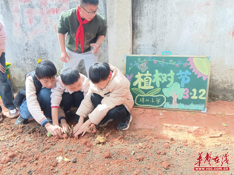 图片38.png